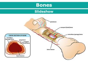 How to Maintain Children’s Bone Health: Key Tips and Advice