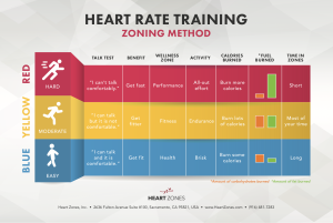 Read more about the article Understanding Heart Rate Zones During Exercise